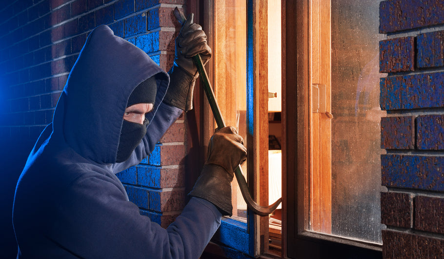 Why and How You Should Prepare for a Burglary