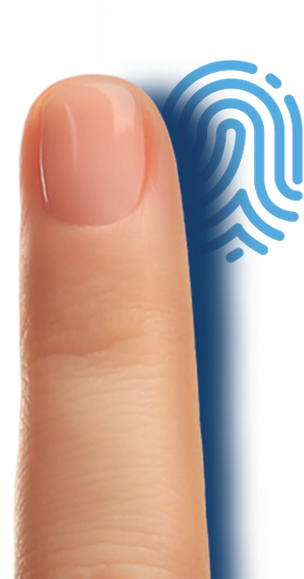 A fingerprint or a PIN unlocks the safe